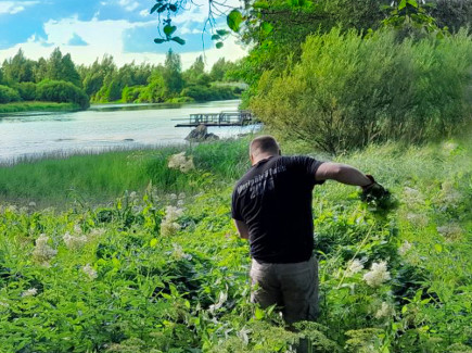 Kuvassa on puistokummitoimintaa joen rannalla